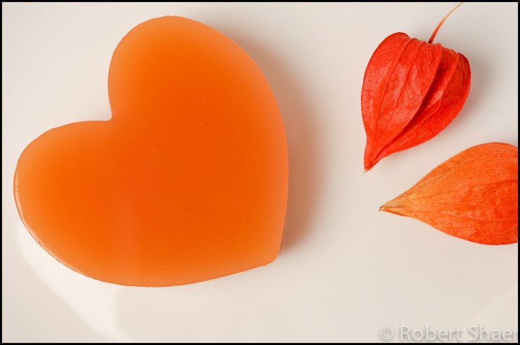 Hana Dethlefsen FEEDback Project