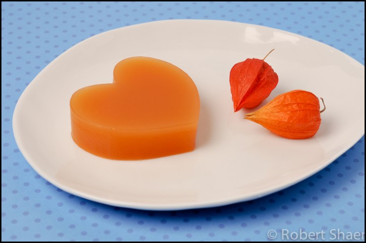 Hana Dethlefsen FEEDback Project