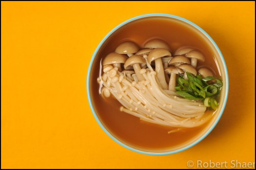 Hana Dethlefsen FEEDback Project