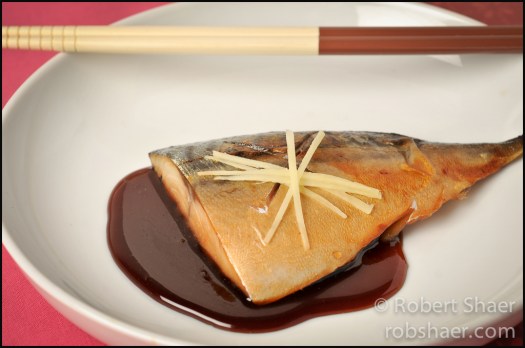 Hana Dethlefsen FEEDback Project