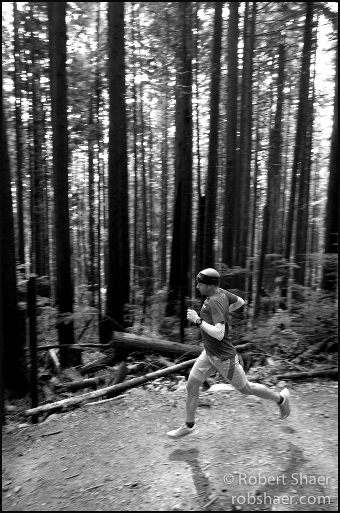 Gary Robbins Profile Web WM-13