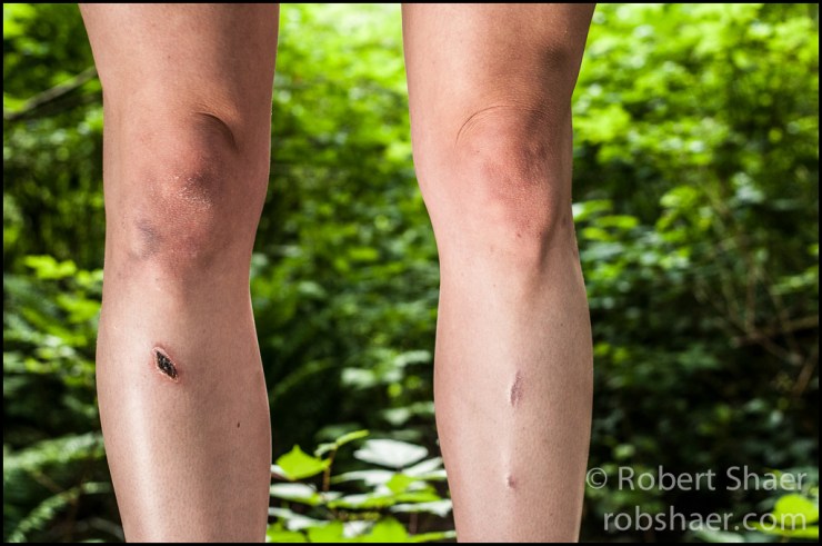 2013 MTN Portraits Penway-15