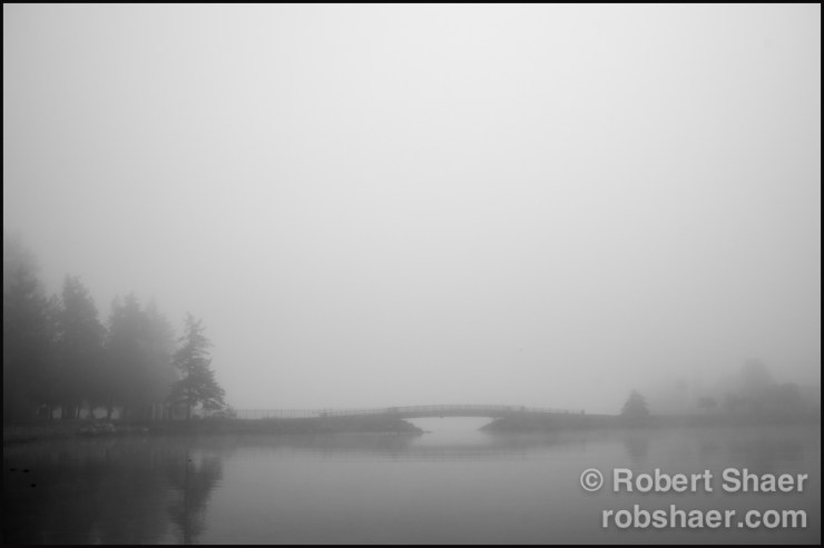 2014 January Personal Fogcouver Stanley Park-1