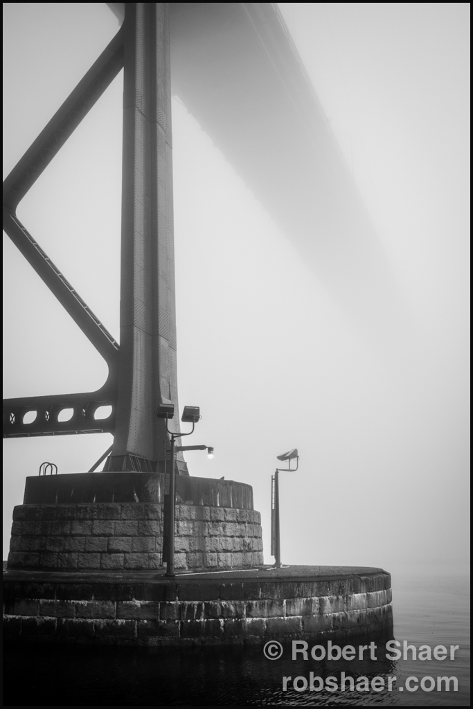 2014 January Personal Fogcouver Stanley Park-5