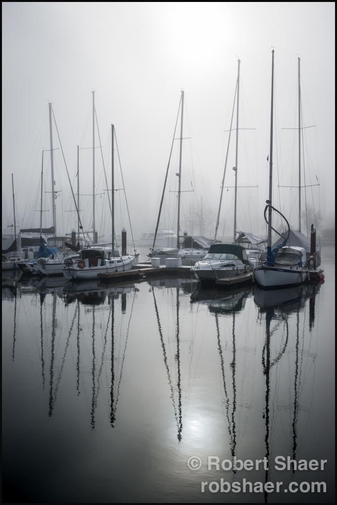 2014 January Personal Fogcouver Stanley Park-6